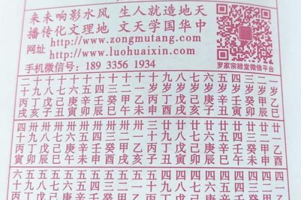 2025属蛇的女性大忌 2025年农历正月生肖蛇女三大禁忌全解析 2025属蛇的女性大忌 2025年农历正月生肖蛇女三大禁忌全解析