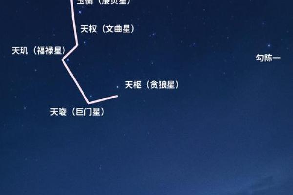 夜观天象是什么生肖(夜观天象是什么生肖打一肖)