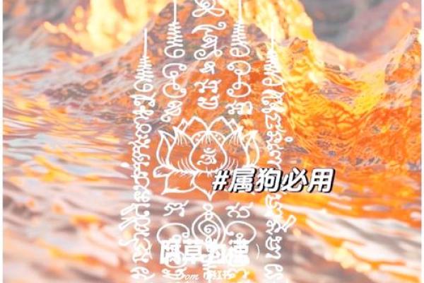 2025年1994年属狗的女性运程 1994年属狗人2024年运势运程