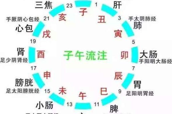 十二时辰对照表生辰八字命格_时辰十二时辰