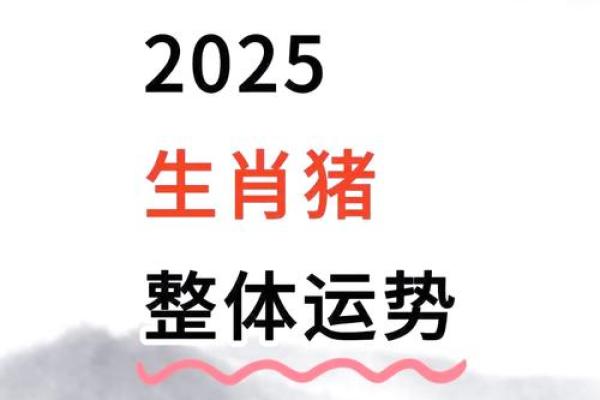 2025年属猪的运程 2025年属猪运程详解财运事业感情全解析 2025年属猪的运程 2025年属猪运程详解财运事业感情全解析