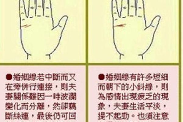 姻缘线怎么看 姻缘线怎么看手相解析姻缘运势全攻略
