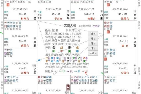 夫妻宫天同巨门 夫妻宫天同巨门解析婚姻运势与感情走向揭秘