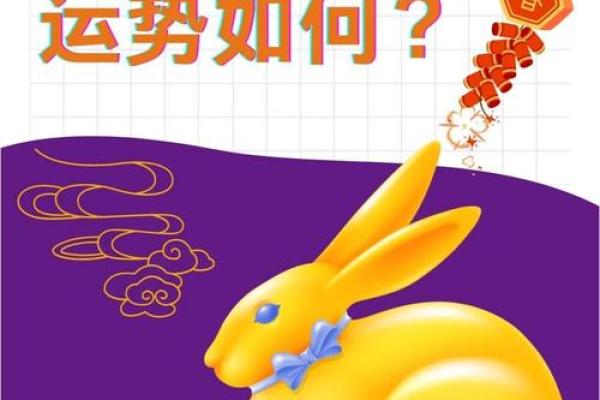 2025年属兔人运势及运程_2025年属兔人运势及运程每月