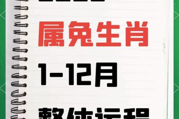 1975属兔人2025运气好吗_2025年属兔天降大喜 1975属兔人2025运气好吗_2025年属兔天降大喜