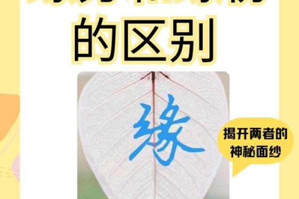 姓名测二人缘分揭秘名字背后的爱情密码