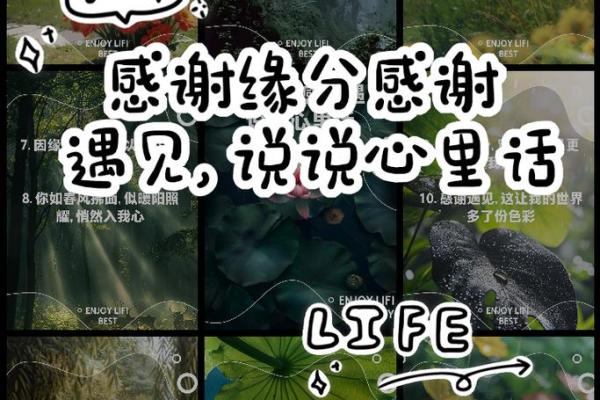 缘分让我认识你 缘分让我认识你一段奇妙相遇的故事