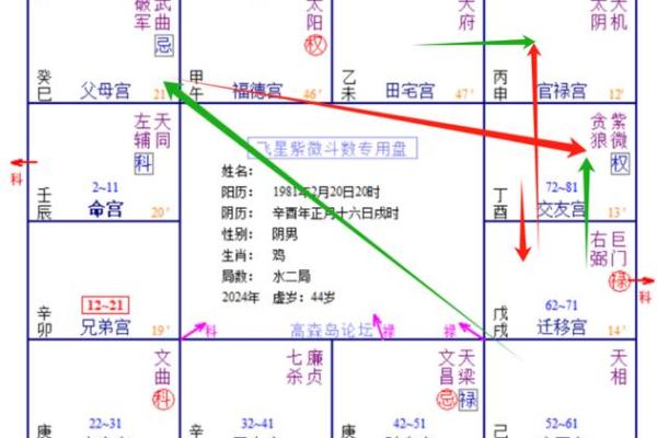 地空在疾厄宫命理解析与运势影响 地空在疾厄宫命理解析与运势影响