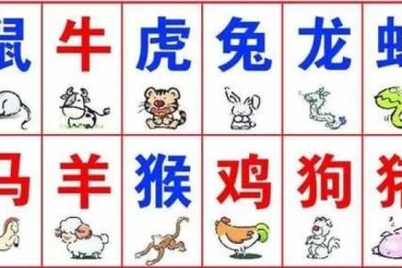 今晚必开什么生肖(今晚必开什么生肖中大奖)