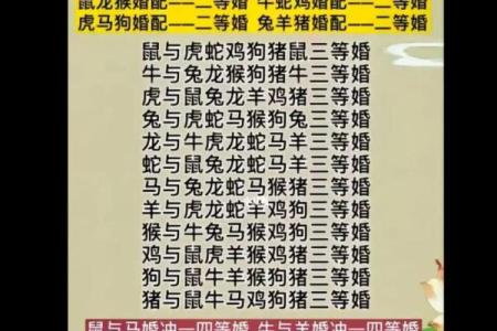 2002年属马的婚配 2002年属马婚配指南最佳配偶属相解析