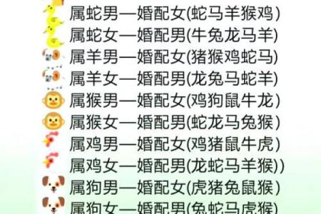 属龙和属马的婚姻相配吗生肖婚配解析与幸福建议