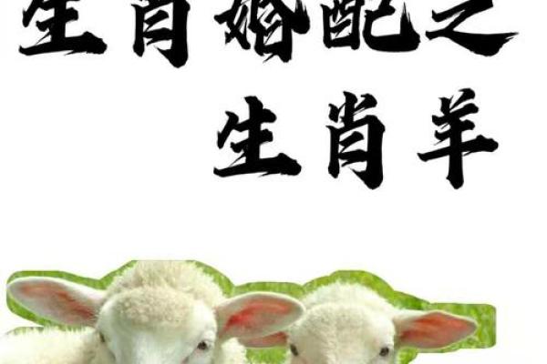 属羊人与什么属相合作最好_生肖羊3合6合3冲6害