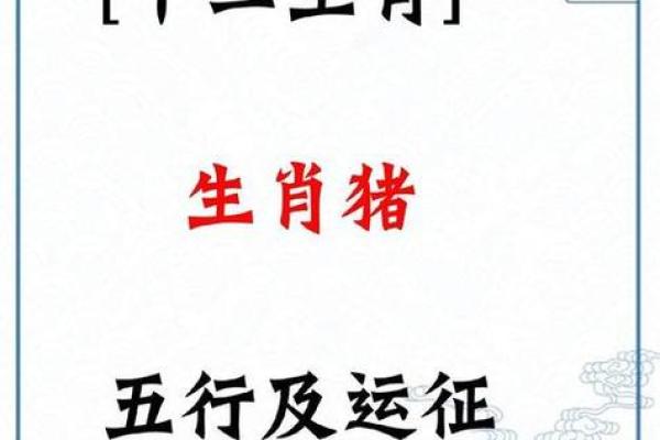 2025属猪可以结婚吗_属猪的2025年运势怎么样