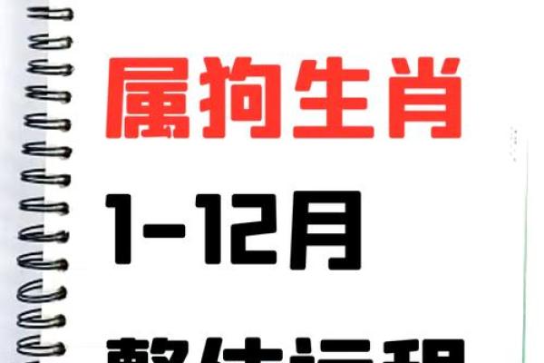 94年属狗2025年运势 2025年属狗运势详解94年出生者全年运程预测