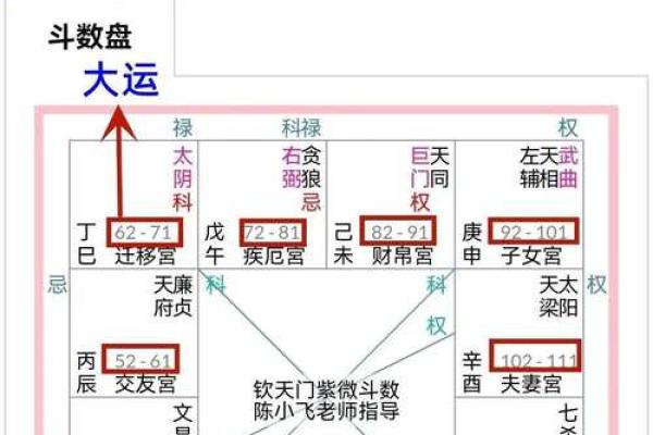 父母宫化忌入疾厄宫_父母宫化忌入疾厄宫命理解析与健康运势影响