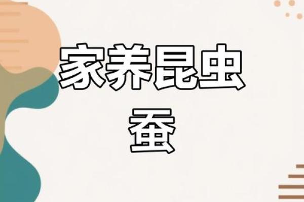 春蚕抽丝是什么生肖(春蚕抽丝是成语吗)