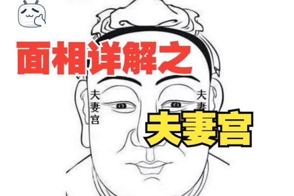 夫妻星和夫妻宫的区别 夫妻星与夫妻宫的区别解析命理中的婚姻奥秘