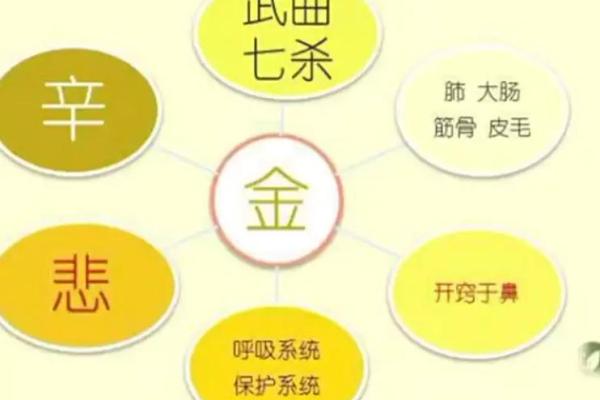 大耗在疾厄宫_大耗在疾厄宫代表什么