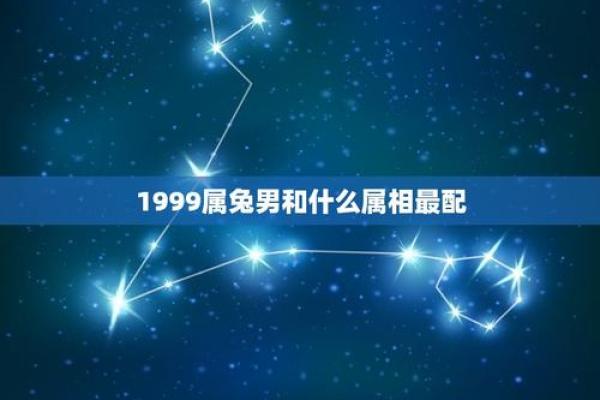 1999年属兔的最佳婚配 1987年属兔真正的正缘在二婚