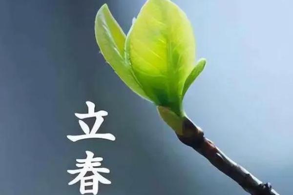 2023立春时间几点几分几秒