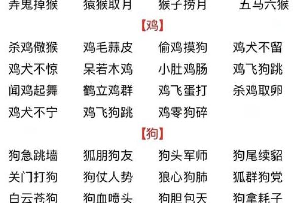 独来独往的动物是什么生肖(独来独往的形容什么生肖)