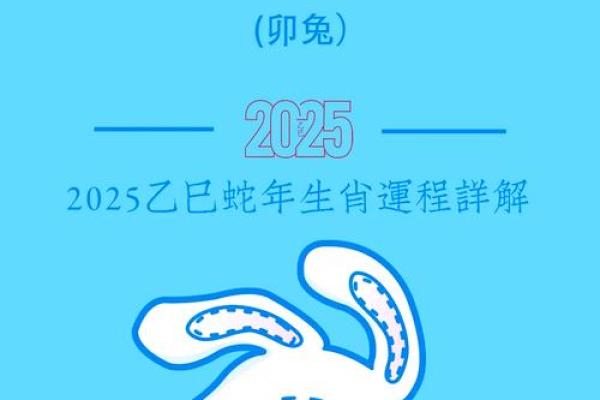 2025年属兔运势详解财运事业爱情全面解析 2025年属兔运势详解财运事业爱情全面解析