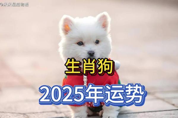 属狗人2025年多大_2025年属狗人的全年运势