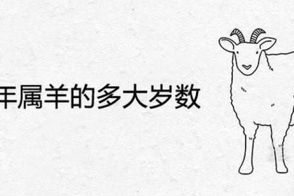 今年属羊多大_2023年属羊人年龄对照表今年属羊多大 今年属羊多大_2023年属羊人年龄对照表今年属羊多大