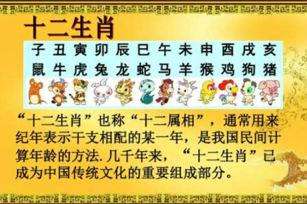 1996年2月4日属猪还是属鼠生肖年份解析