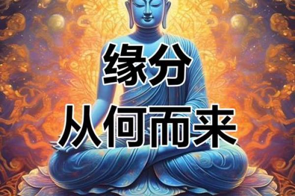 缘分百分百_缘分百分百恢复最新版