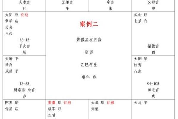 夫妻宫有紫微星的女人_紫微星入夫妻宫揭秘女人婚姻运势的关键