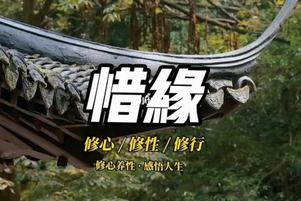 缘分的禅语_关于缘分的禅语