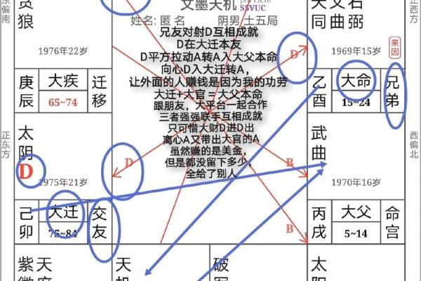 八字和紫微斗数的优缺点_八字和紫微斗数哪个好学