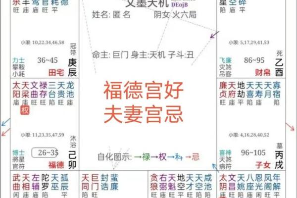 八字和紫微斗数的优缺点_八字和紫微斗数哪个好学