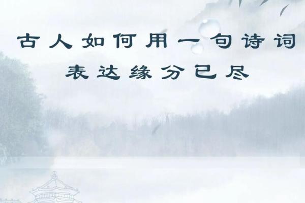 缘分的古诗_缘分的古诗文