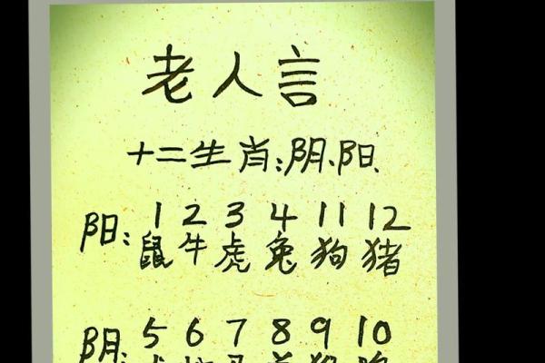 2000属龙姻缘最佳年份解析哪年最适合结婚