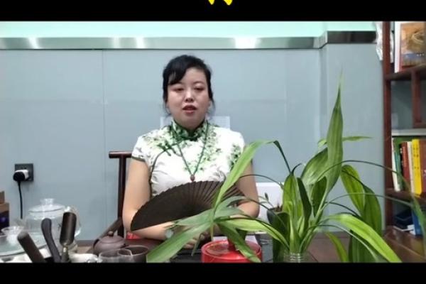 2025年属狗天降大喜日历 2025年属狗天降大喜日历运势大爆发好运连连