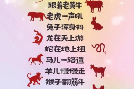 老鼠过街是什么生肖(老鼠过街是什么生肖动物)