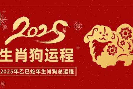 属狗人2026年全年运势运程 属狗人2026年全年运势运程如何