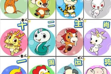 三心二意打一正确生肖(三心二意打一正确生肖是什么)