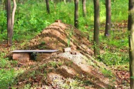 今年坟地可以动土吗(今年坟地可以动土吗视频)