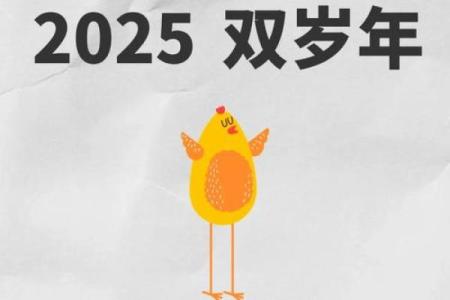 2025年谁最爱属鸡_2025年属鸡人运势解析谁最爱属鸡