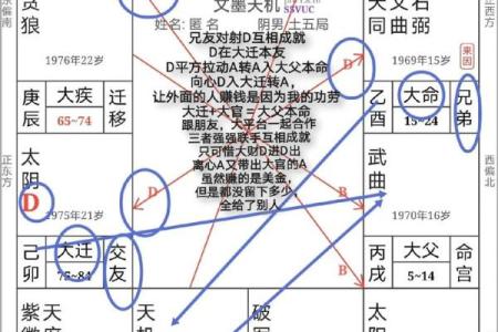 八字和紫微斗数的优缺点_八字和紫微斗数哪个好学
