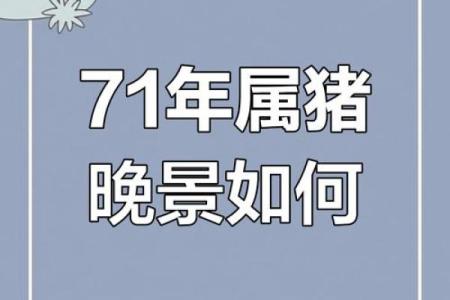属猪人2025年全年运势详解_1971年属猪男2025年全年运势