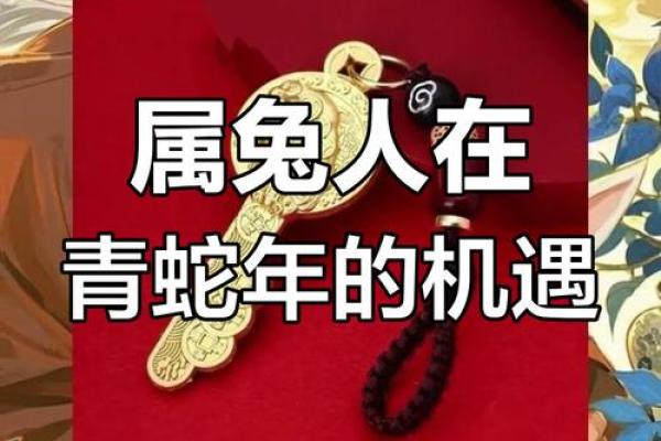 2025年87年属兔人的全年运势如何_2025年属兔人全年运势详解87年兔年运程大揭秘