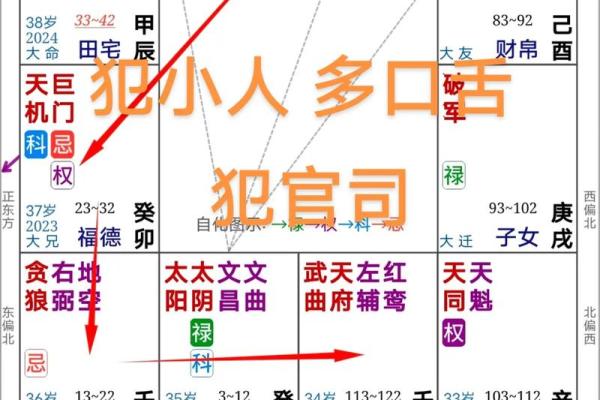 父母宫廉贞化禄_父母宫廉贞化禄命理解析与运势提升指南
