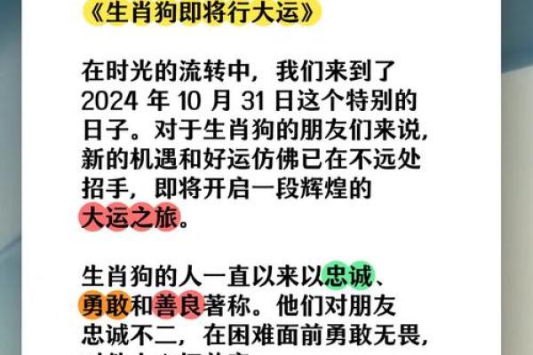 狗今年的运势如何2025_2025年狗年运势解析财运健康感情全预测