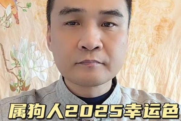 82年的狗2025年运势_2025年82年属狗人运势解析财运事业感情全揭秘