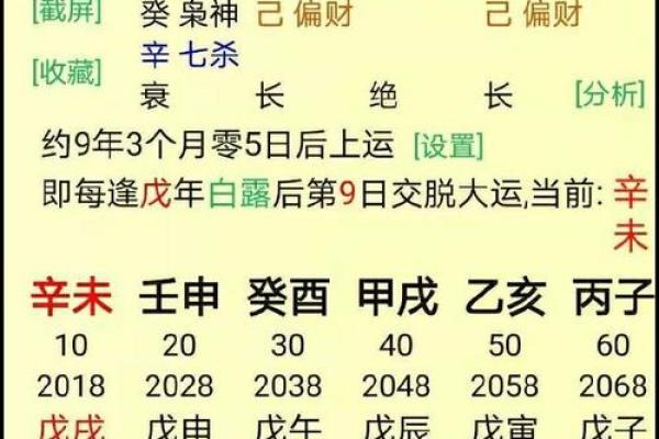 免费查生辰八字看命运_免费生辰八字测算揭秘命运走向与人生运势