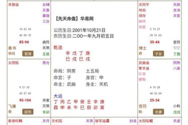 福德宫化忌解析命理影响与化解方法